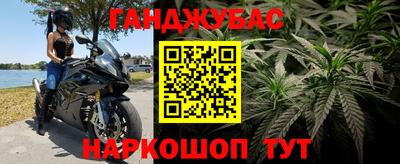 соль ск Пугачёв