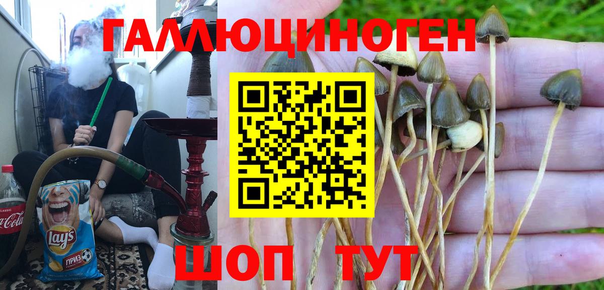 Нарткала  Псилоцибиновые грибы мухоморы  Вход с VPN 